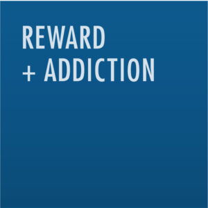 Reward + Addiction