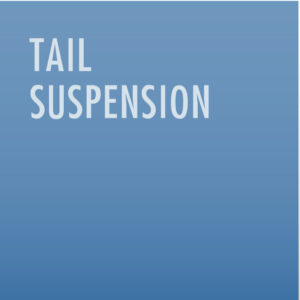 Tail Suspension